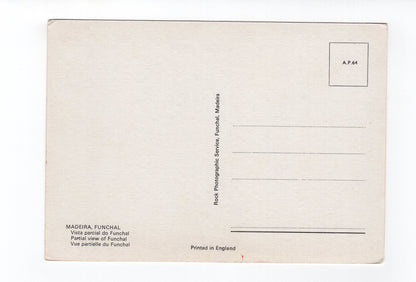 Ansichtskarte Madeira / Funchal / Portugal