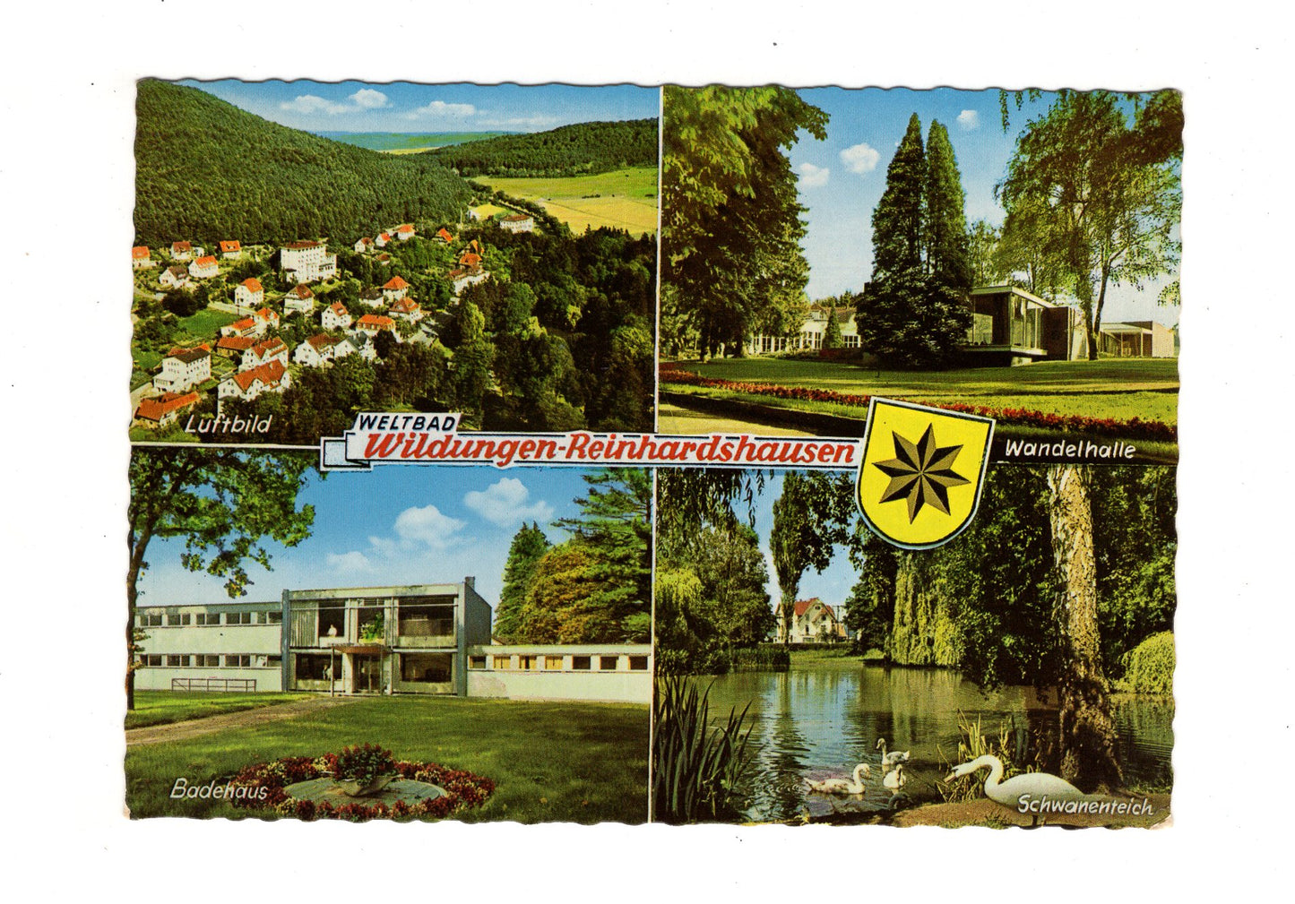Ansichtskarte Bad Wildungen-Reinhardshausen / Schwanenteich +++