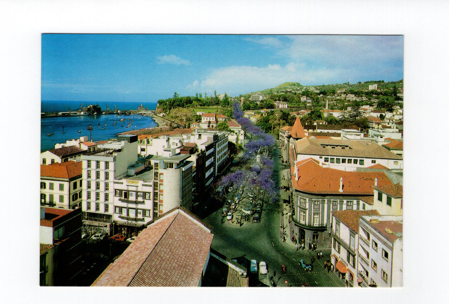 Ansichtskarte Madeira / Funchal / Portugal