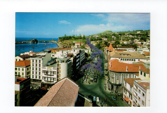 Ansichtskarte Madeira / Funchal / Portugal