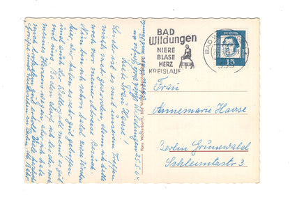 Ansichtskarte Bad Wildungen-Reinhardshausen / Schwanenteich +++