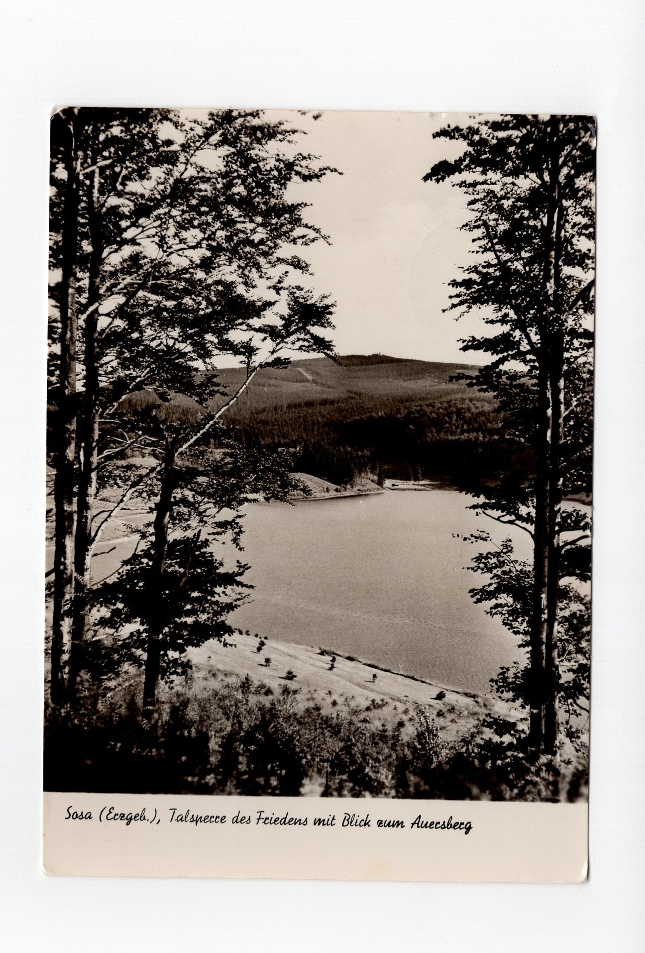Ansichtskarte Sosa / Erzgebirge / Talsperre des Friedens