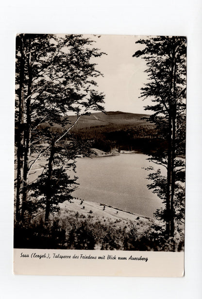 Ansichtskarte Sosa / Erzgebirge / Talsperre des Friedens
