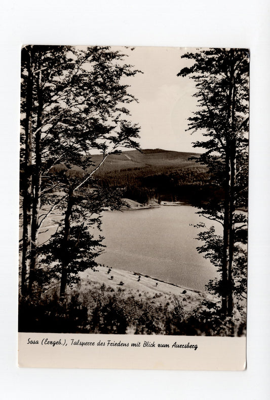 Ansichtskarte Sosa / Erzgebirge / Talsperre des Friedens