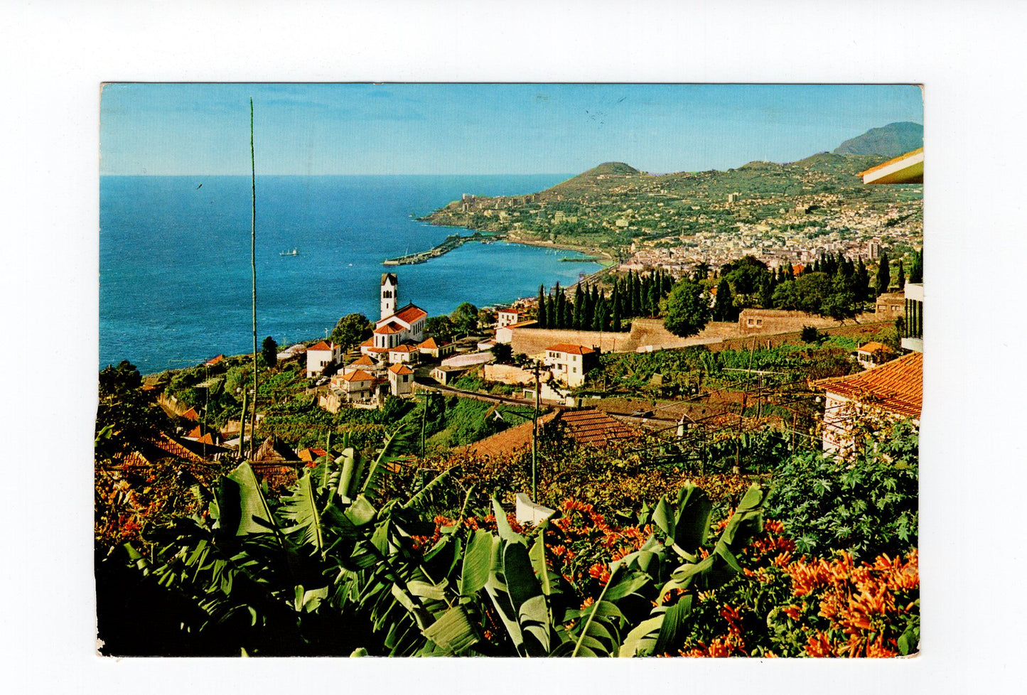 Ansichtskarte Madeira / Funchal / Portugal