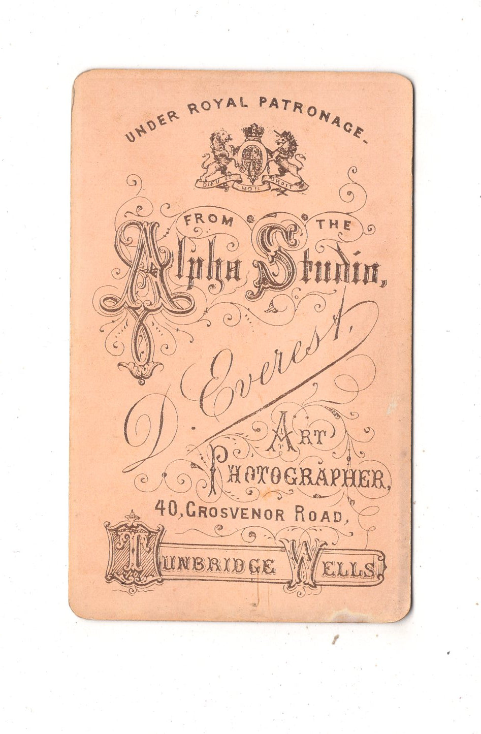 Fotografie Niedliches kleines Kind - Tunbridge Wells 1870er / CDV M1-33