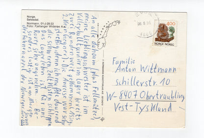 Ansichtskarte Setesdal / Norwegen