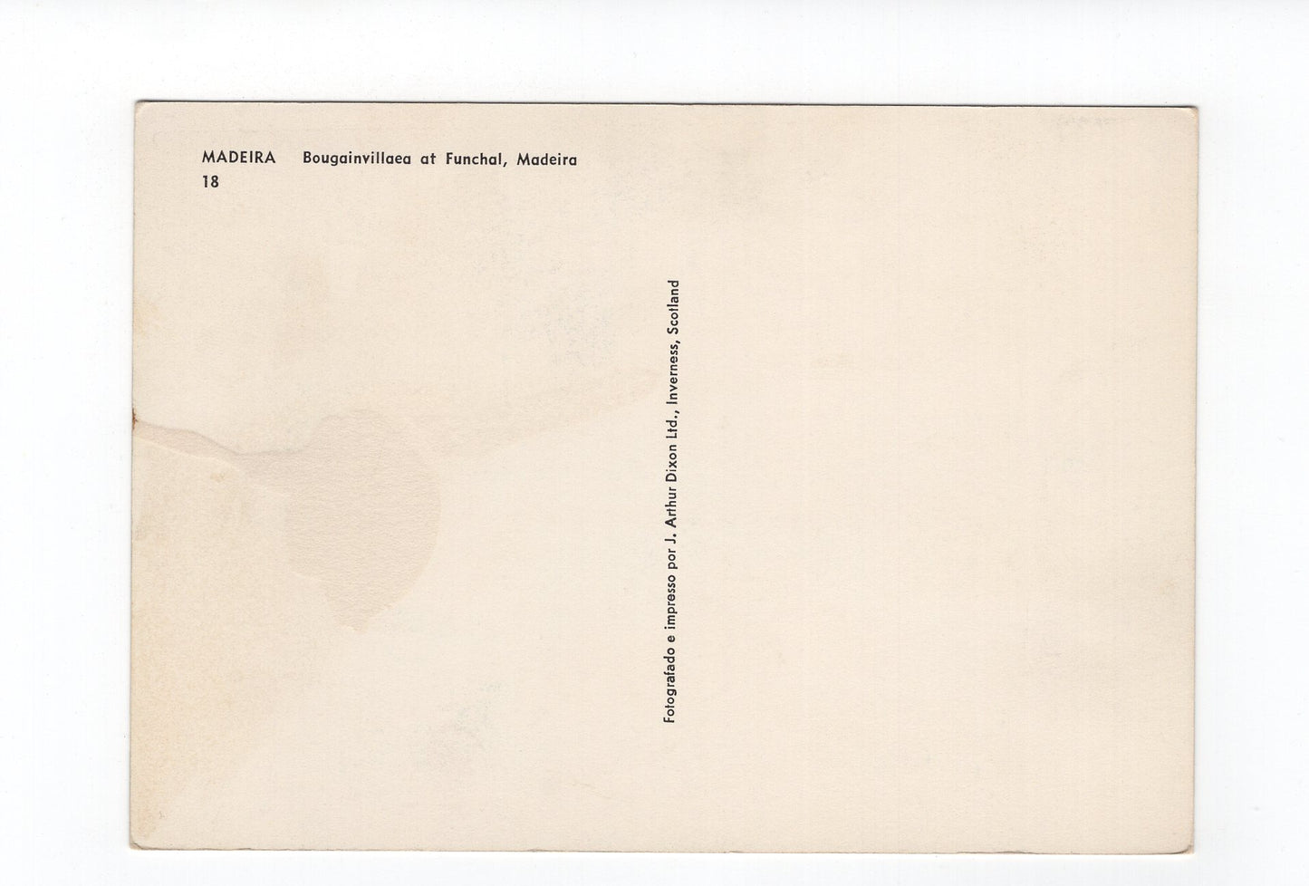 Ansichtskarte Madeira / Funchal / Portugal