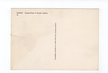 Ansichtskarte Madeira / Funchal / Portugal