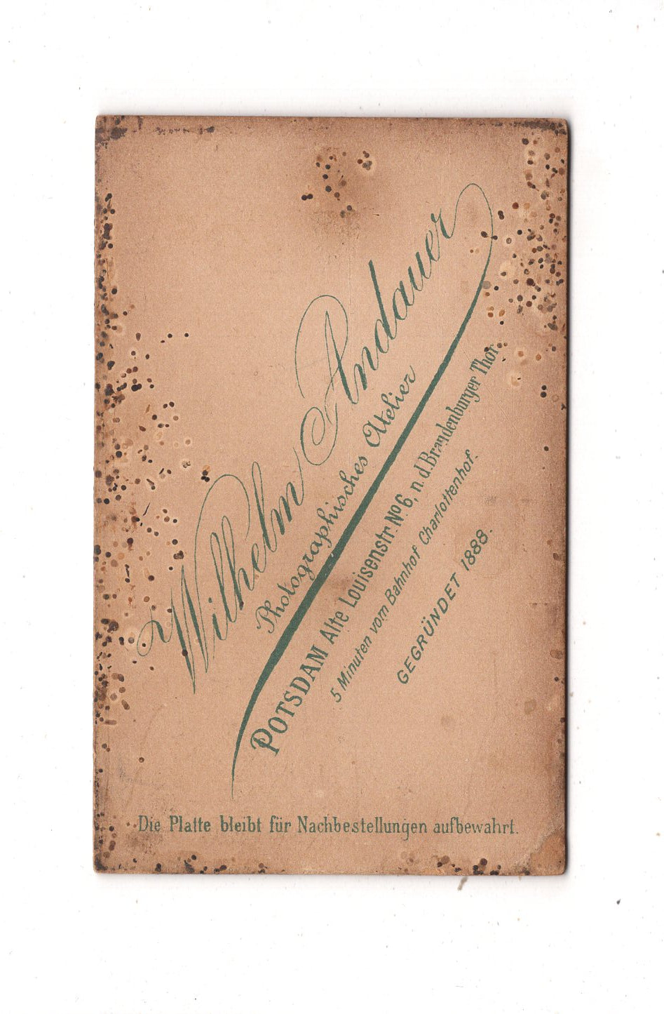 Fotografie Feine Dame - Potsdam 1890er / CDV L1-32
