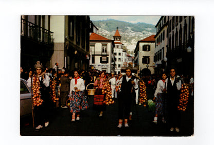 Ansichtskarte Madeira / Funchal / Portugal