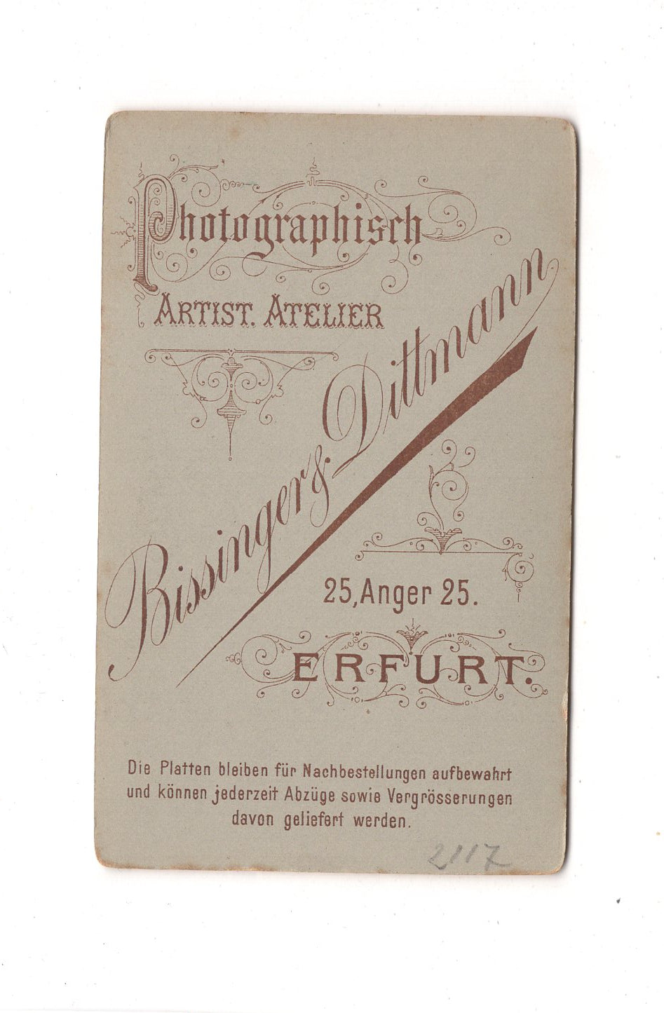 Fotografie Damenportrait - Erfurt 1880er / CDV C1-11