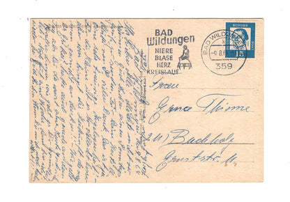 Ansichtskarte Bad Wildungen / Schloss Friedrichstein