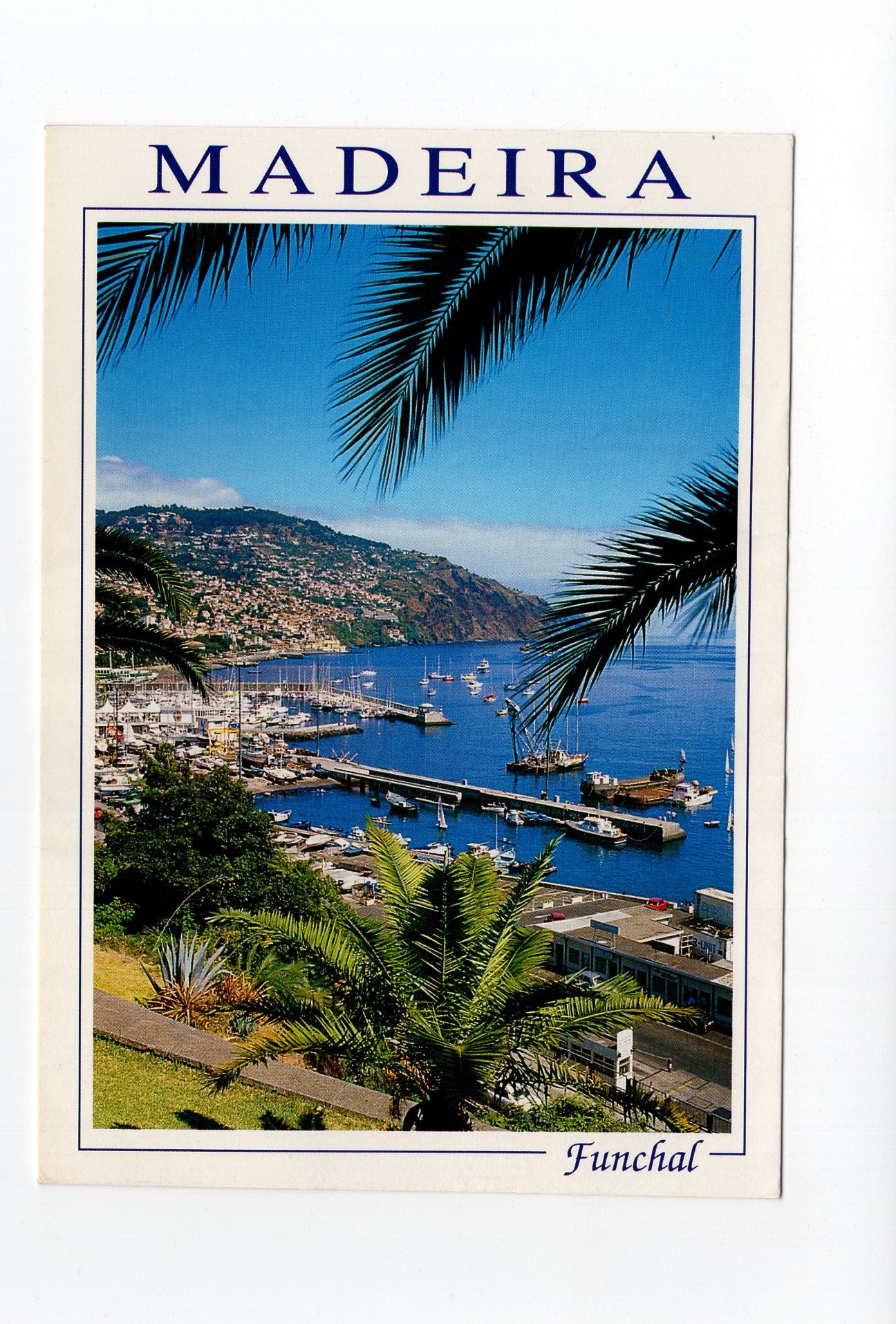 Ansichtskarte Madeira / Funchal / Portugal