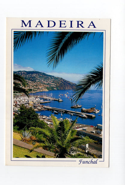Ansichtskarte Madeira / Funchal / Portugal