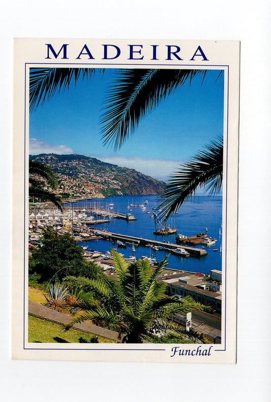 Ansichtskarte Madeira / Funchal / Portugal