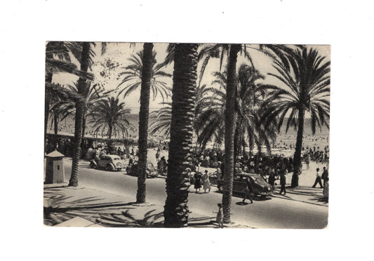 Ansichtskarte Alicante / Playa del Postiguet / Spanien