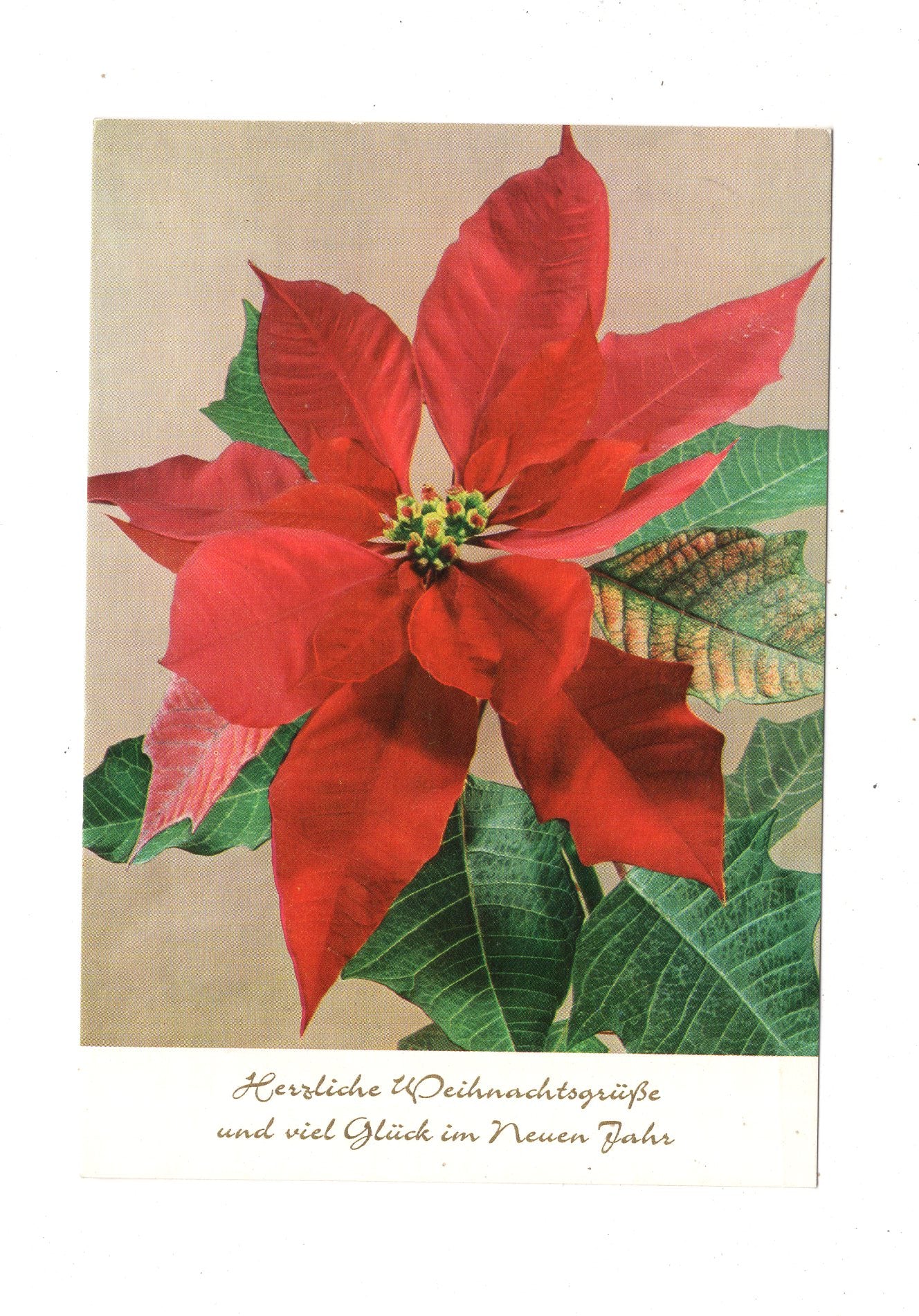 Ansichtskarte Feiertage / Frohe Weihnachten / K1-67