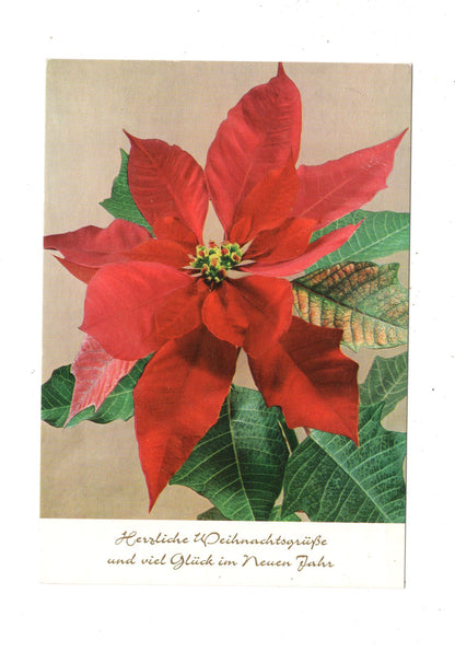 Ansichtskarte Feiertage / Frohe Weihnachten / K1-67