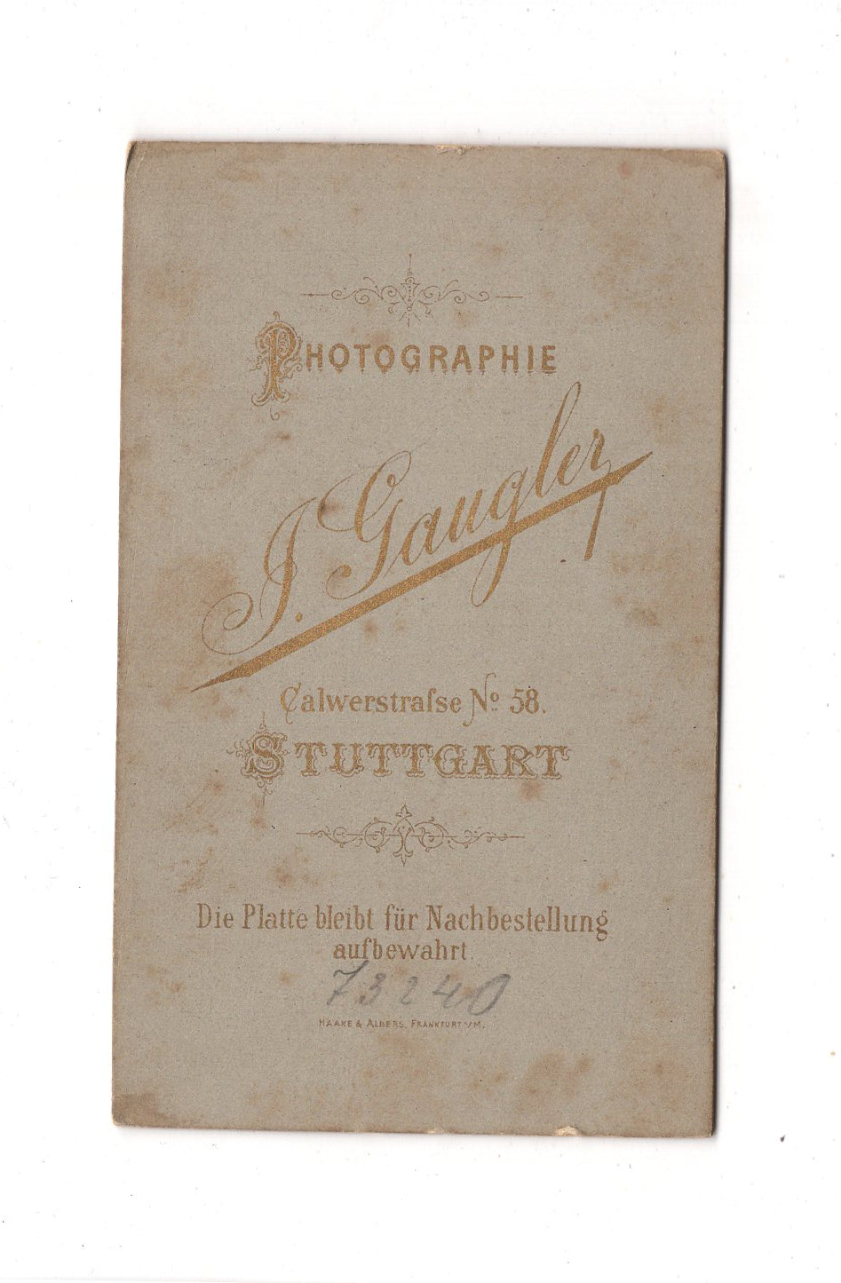 Fotografie Damenportrait - Stuttgart 1880er / CDV C1-11