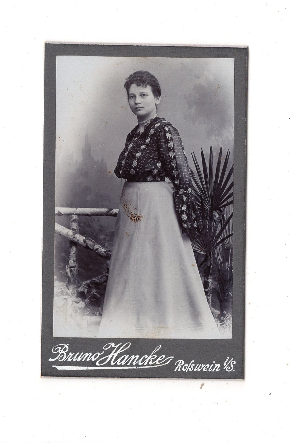 Fotografie Feine Dame - Roßwein um 1900 / CDV L1-32