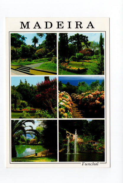 Ansichtskarte Madeira / Funchal / Portugal