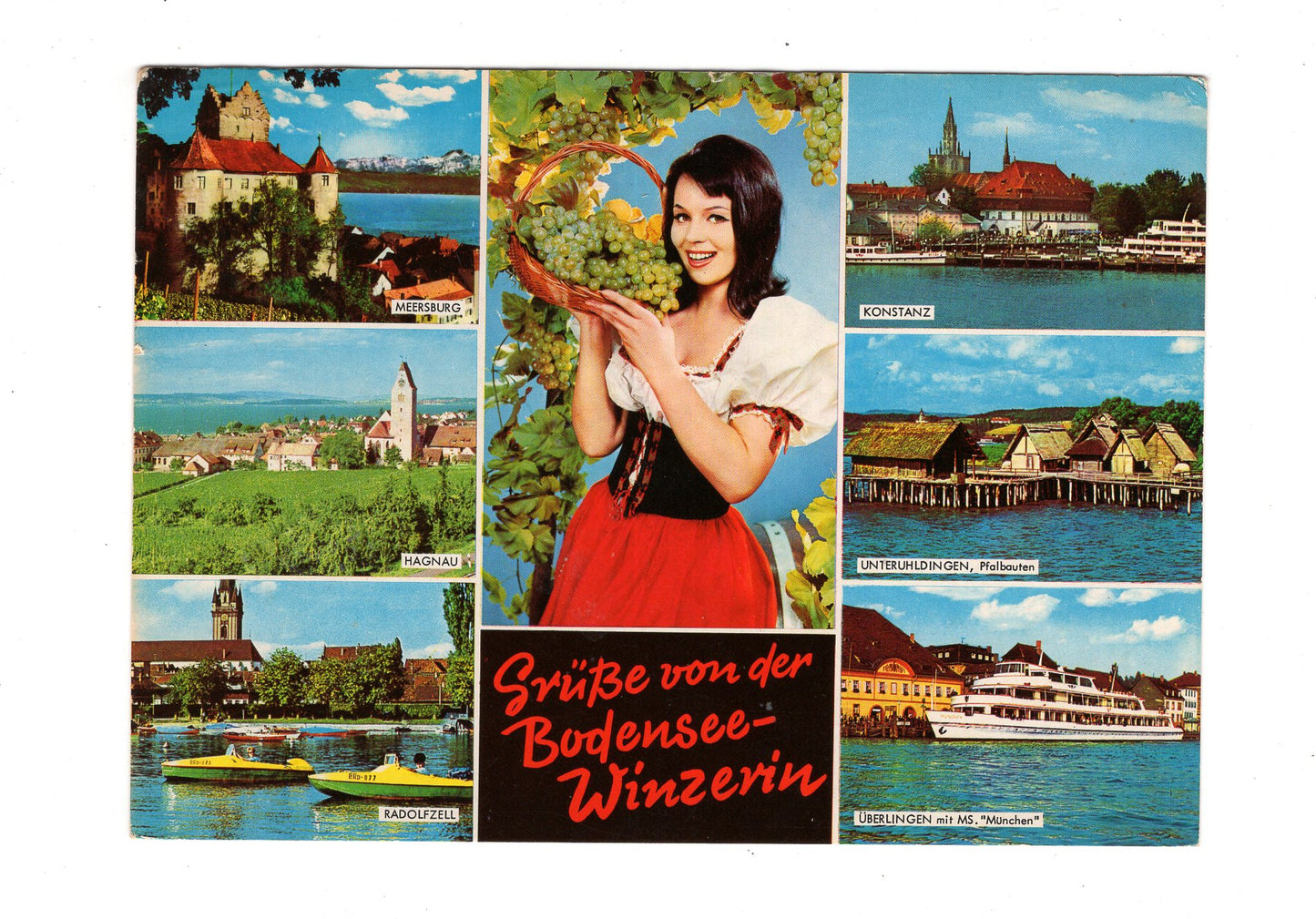 Ansichtskarte Grüße von der Bodensee-Winzerin