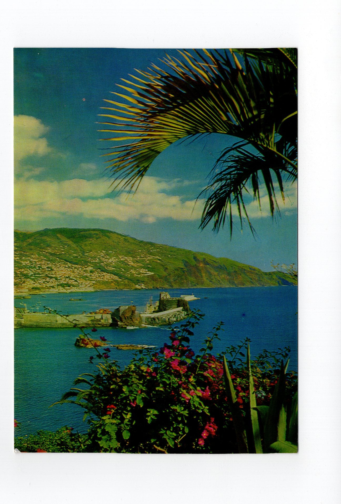 Ansichtskarte Madeira / Bucht von Funchal / Portugal