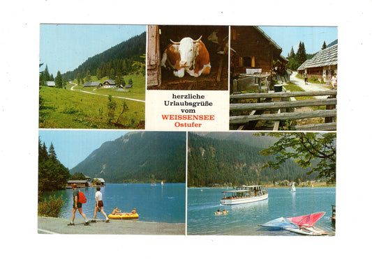 Ansichtskarte Weißensee / Ostufer / Kärnten / Österreich