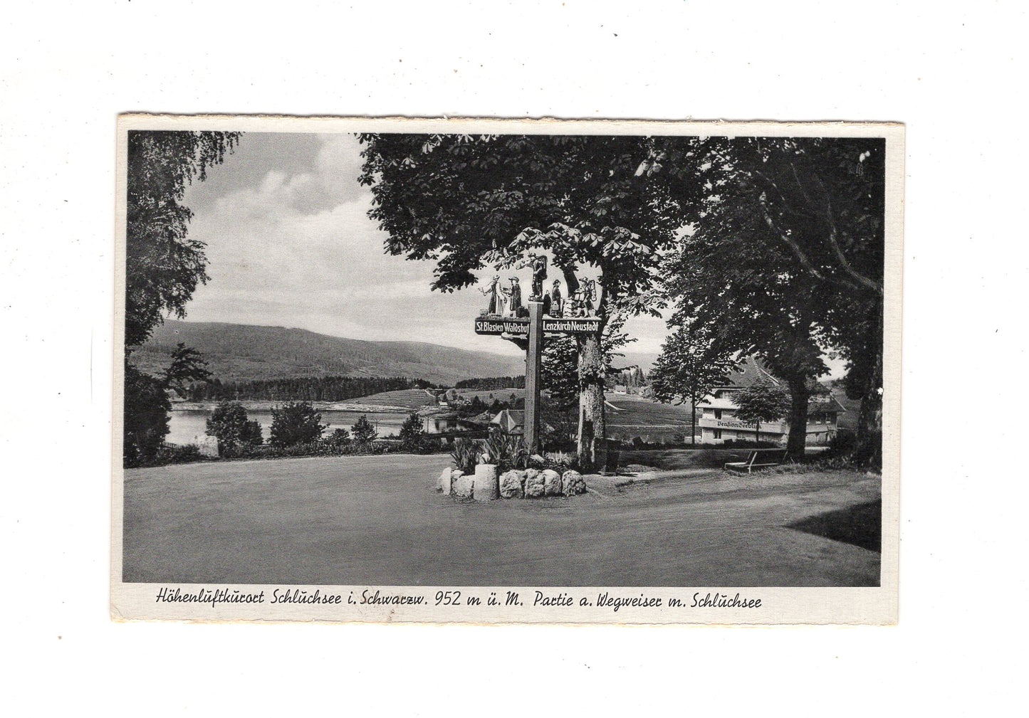 Ansichtskarte Schluchsee im Schwarzwald / Partie am Wegweiser / K1-48