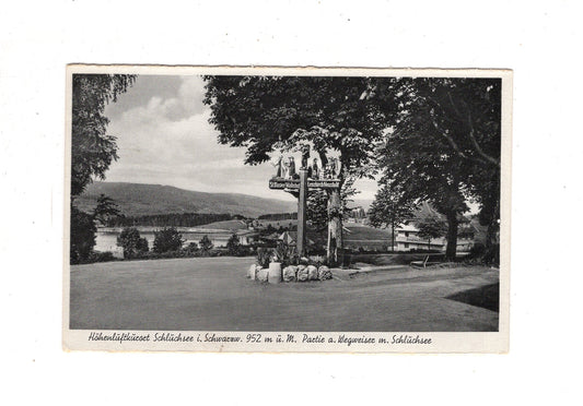 Ansichtskarte Schluchsee im Schwarzwald / Partie am Wegweiser / K1-48