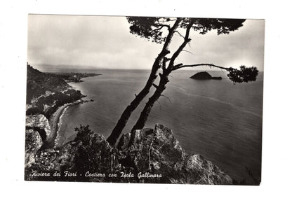 Ansichtskarte Costiera con Isola Gallinara / Italien / N1-54