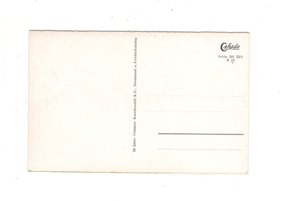 Ansichtskarte Schluchsee im Schwarzwald / Partie am Wegweiser / K1-48