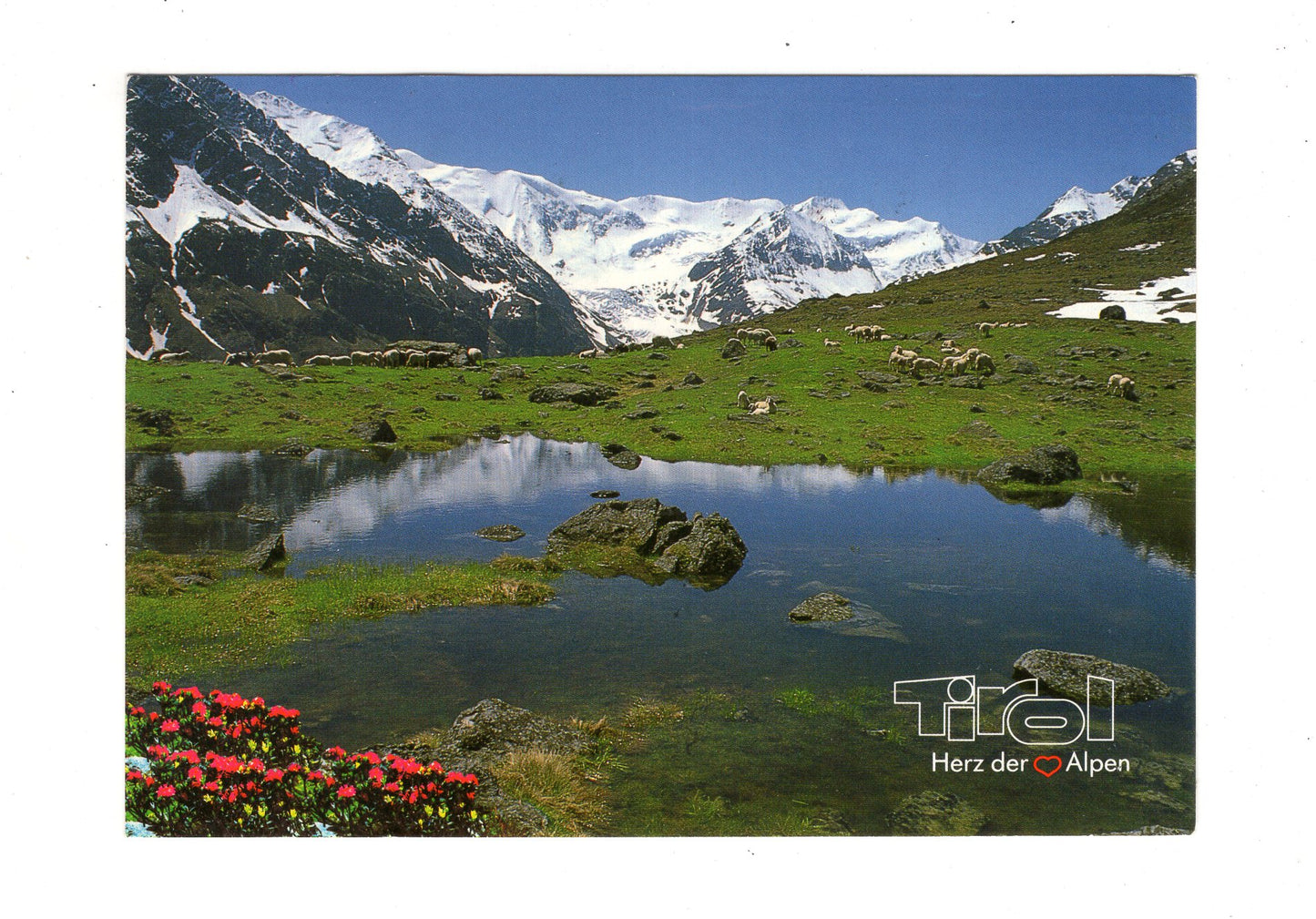 Ansichtskarte Tirol / Österreich