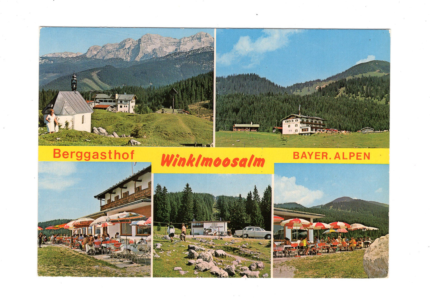 Ansichtskarte Berggasthof Winklmoosalm / Bayerische Alpen