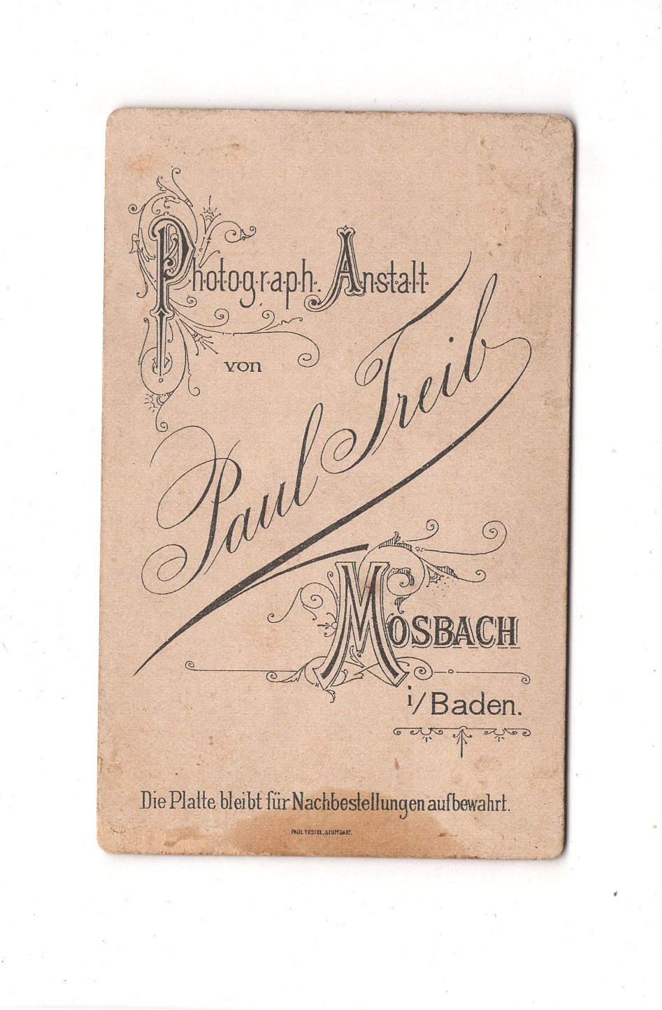 Fotografie Damenportrait - Mosbach in Baden um 1890 / CDV C1-11