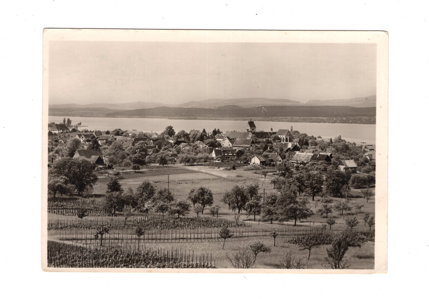 Ansichtskarte Insel Reichenau / Blick auf Mittelzell und Gnadensee