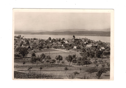 Ansichtskarte Insel Reichenau / Blick auf Mittelzell und Gnadensee