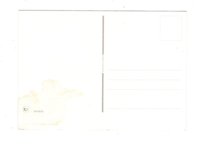 Ansichtskarte Glückwünsche / Glückwunsch zum Namenstag / L1-63