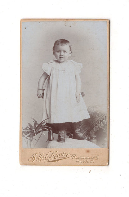 Fotografie Niedliches kleines Kind - Brandenburg an der Havel 1890er / CDV M1-34