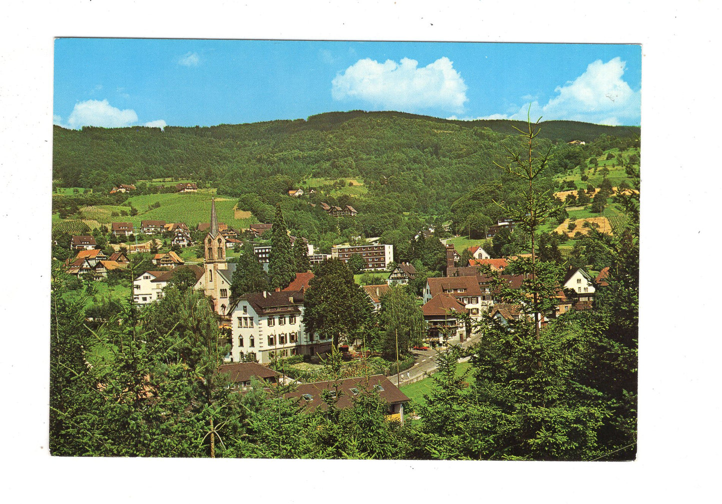 Ansichtskarte Sasbachwalden im badischen Schwarzwald / K1-48