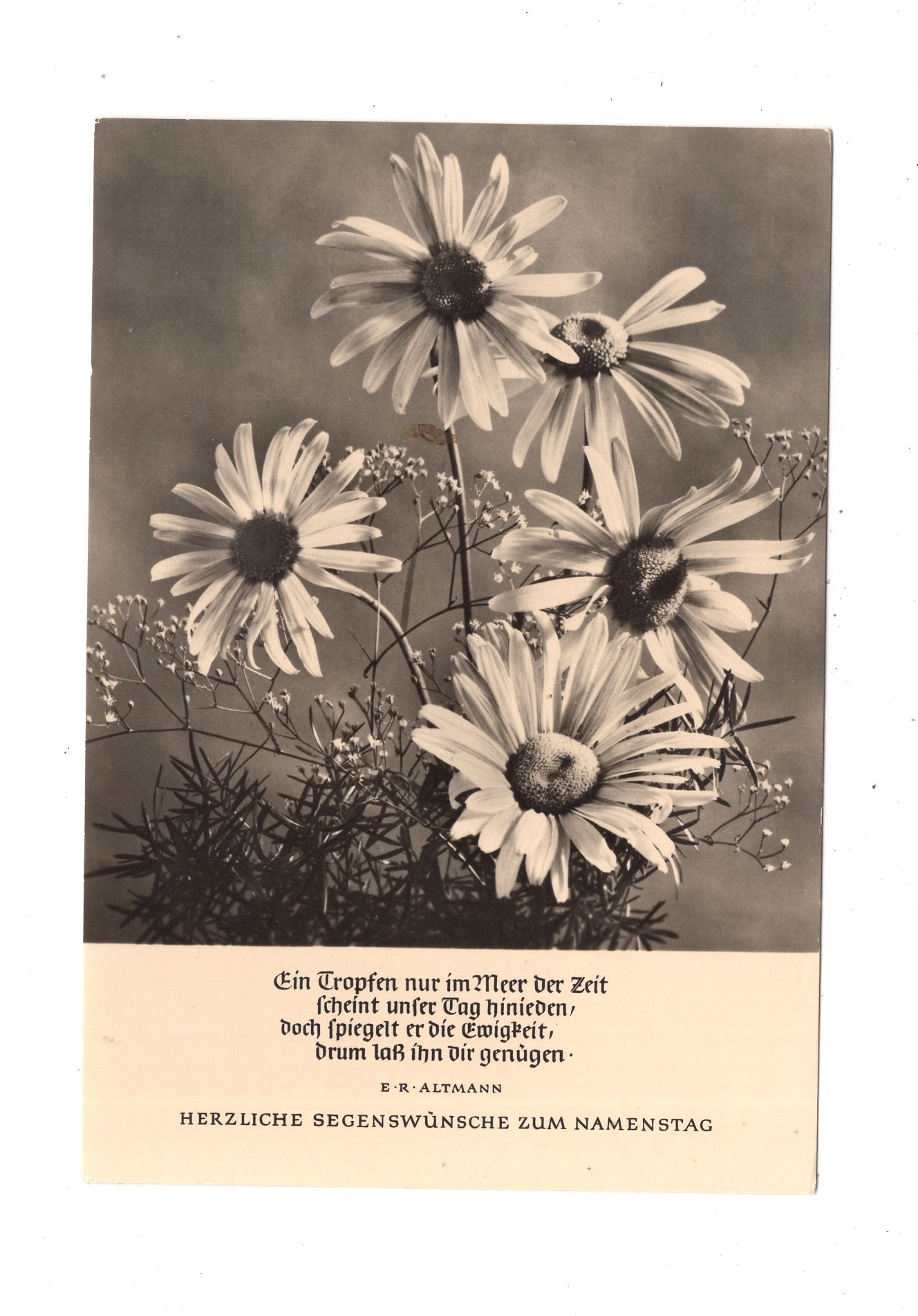 Ansichtskarte Glückwünsche / Glückwunsch zum Namenstag / L1-63