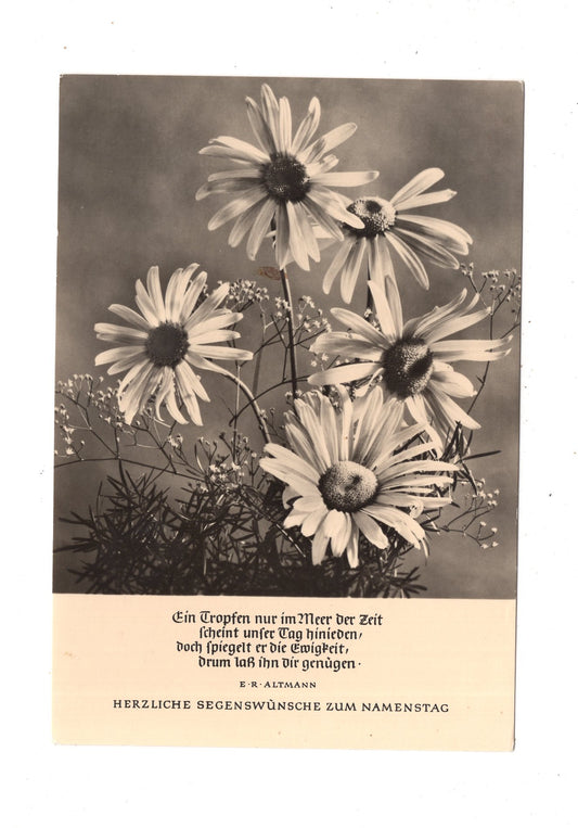 Ansichtskarte Glückwünsche / Glückwunsch zum Namenstag / L1-63