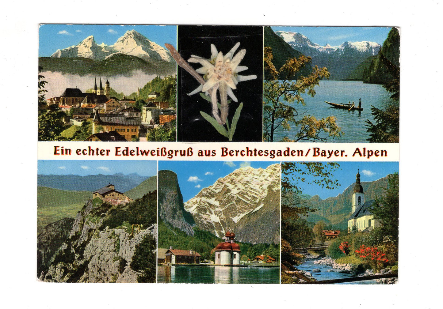 Ansichtskarte Edelweißgruß aus Berchtesgaden / Bayerische Alpen / I1-60
