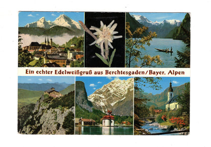 Ansichtskarte Edelweißgruß aus Berchtesgaden / Bayerische Alpen / I1-60