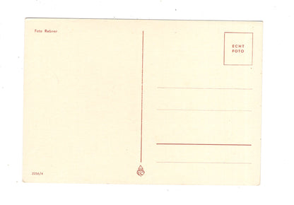 Ansichtskarte Glückwünsche / Glückwunsch zum Namenstag / L1-63