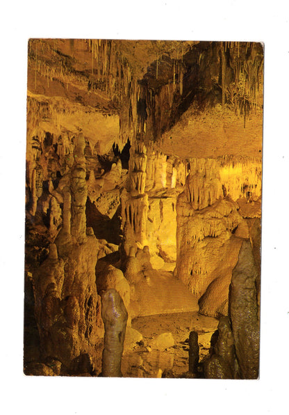 Ansichtskarte Cuevas de Altamira / Spanien