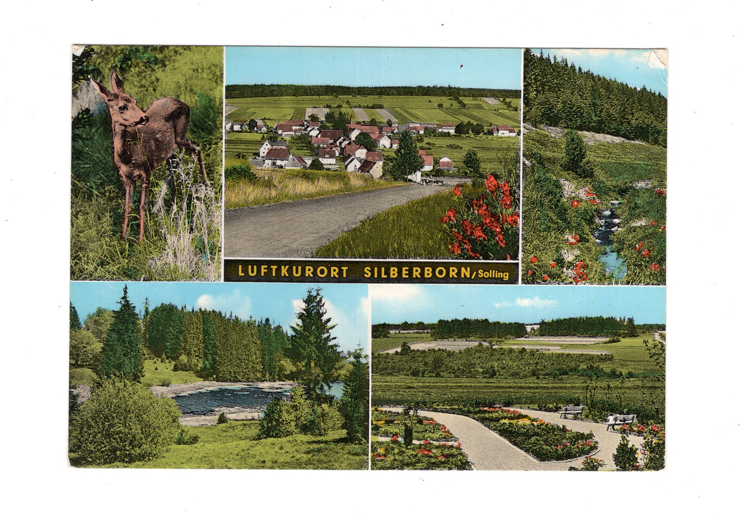 Ansichtskarte Silberborn / Solling