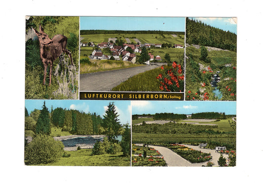 Ansichtskarte Silberborn / Solling