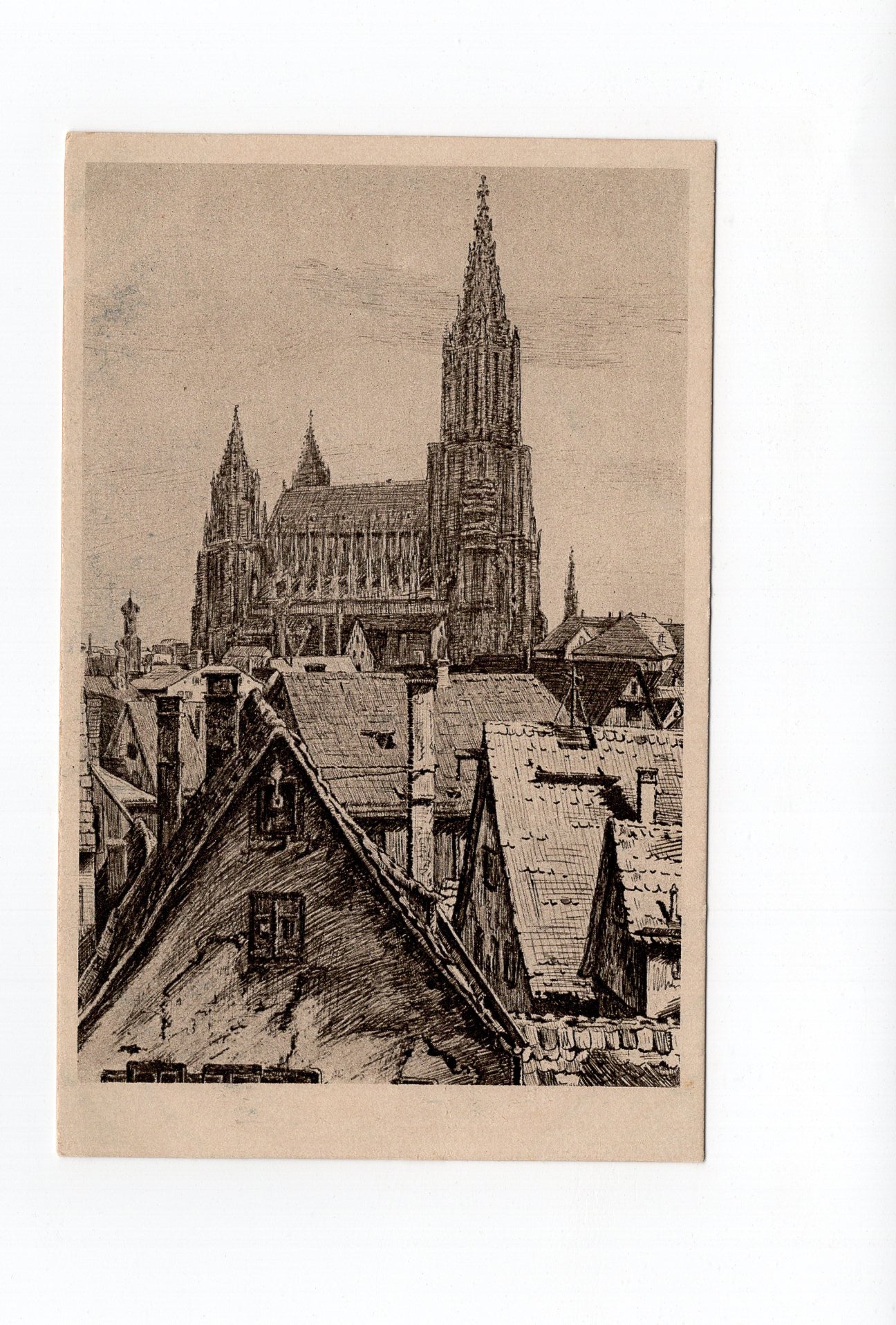 Ansichtskarte / Kunstkarte Ulmer Münster von G. Fischer